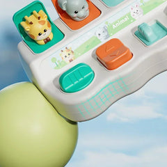 Montessori Pop up Animal Toys and Learning Boxes Enhance Logical Thinking and Motor Skills Suitable for Children's Birthday Gift